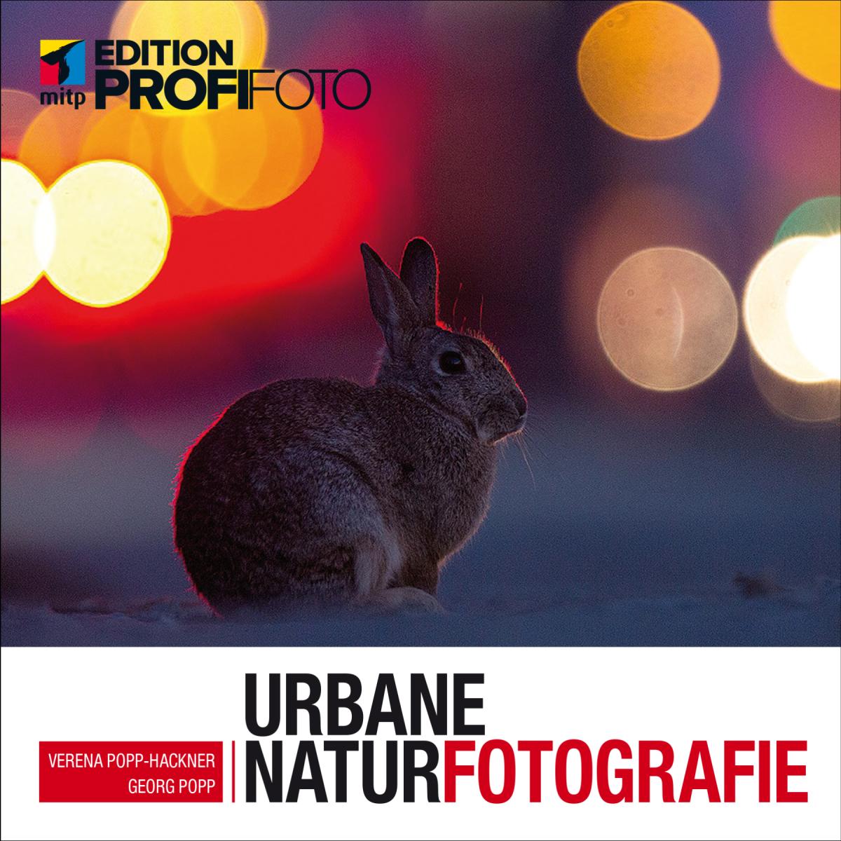 Artikelbild 1 des Artikels “Urbane Naturfotografie “