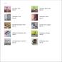 morepic-10