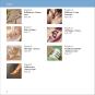 morepic-4