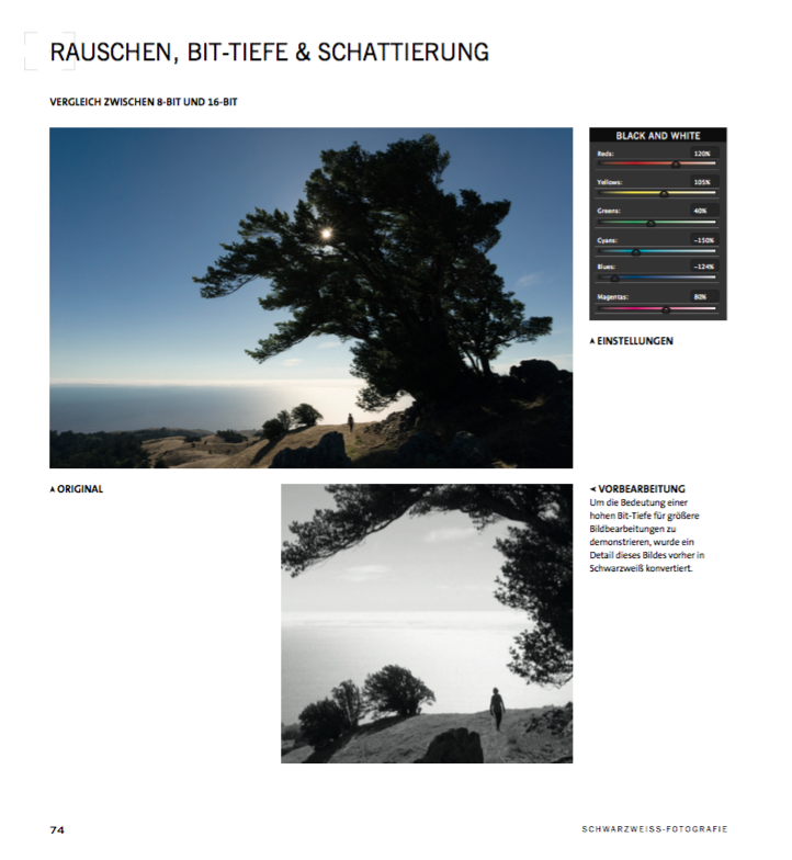 Artikelbild 5 des Artikels “Schwarzweiß-Fotografie “
