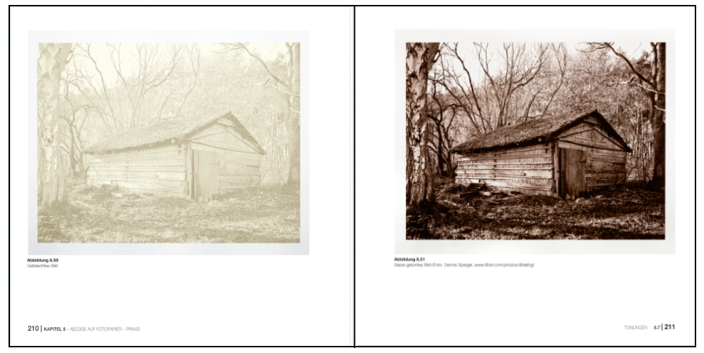 Artikelbild 5 des Artikels “Analog fotografieren und entwickeln “