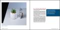 Artikelbild 5 des Artikels “Produktfotografie “