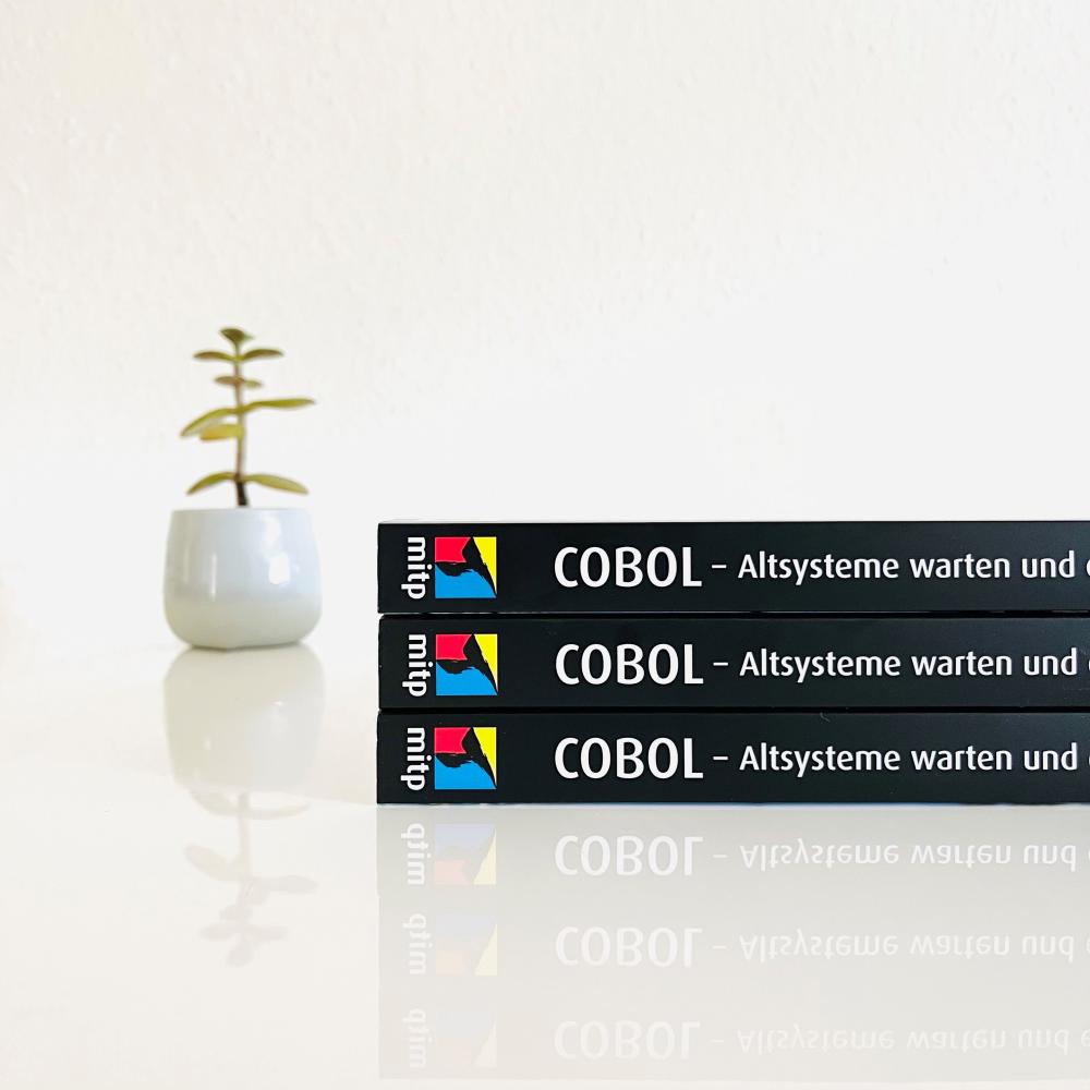 Artikelbild 8 des Artikels “COBOL - Altsysteme warten und erweitern “