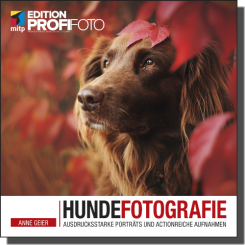 Hundefotografie 